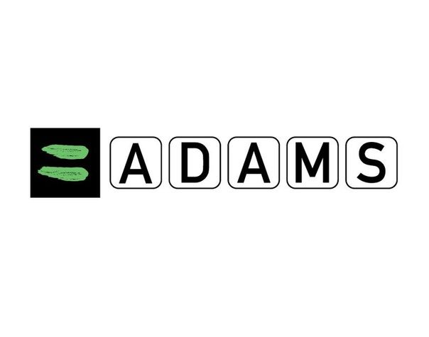 Что такое система ADAMS