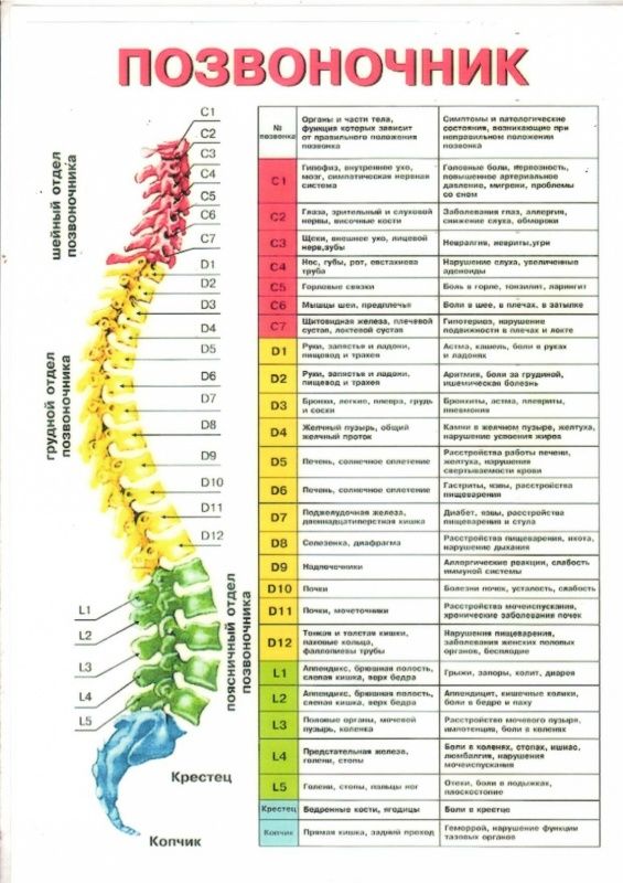 Основы безопасности жизнедеятельности для коллектива ОСШОР Носковой